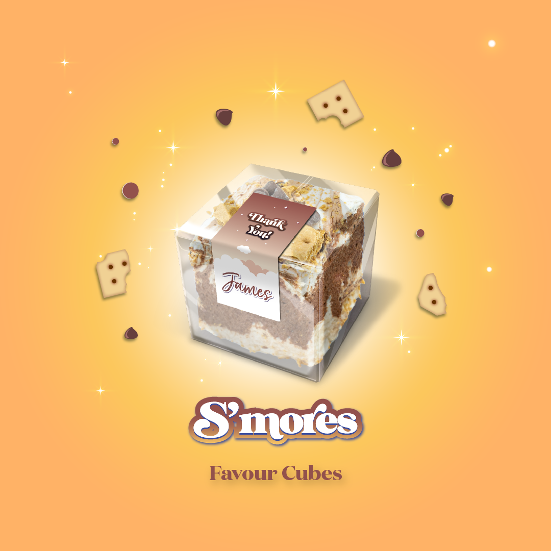 Party Favour Cubes - S'mores Marshmallows