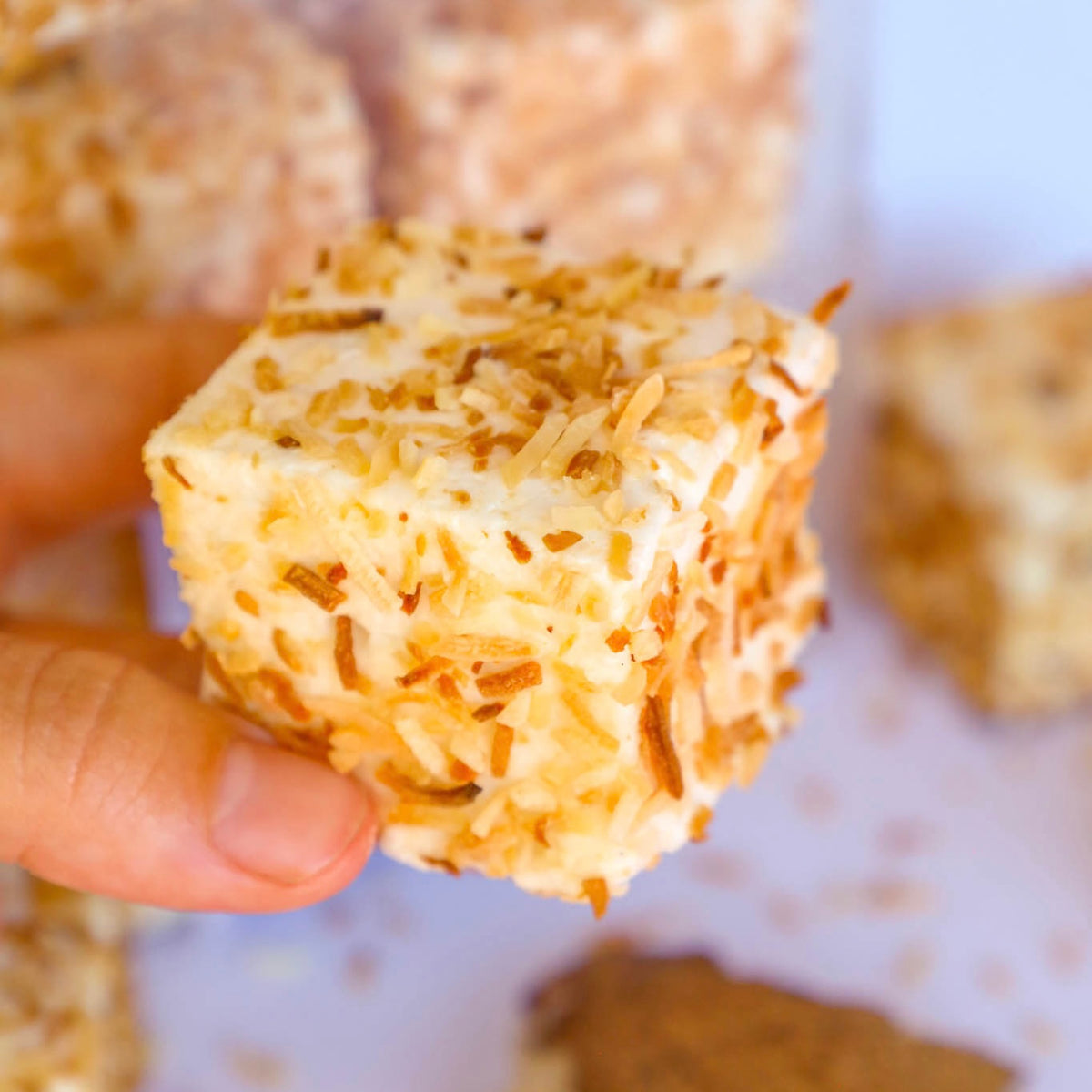 Toasted Coconut Marshmallow 6 Pcs Tray